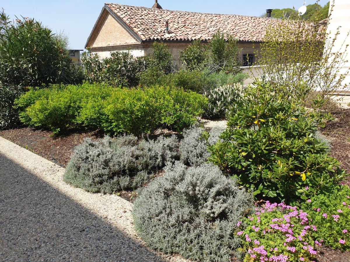Frassinello Olivola Apartments מראה חיצוני תמונה